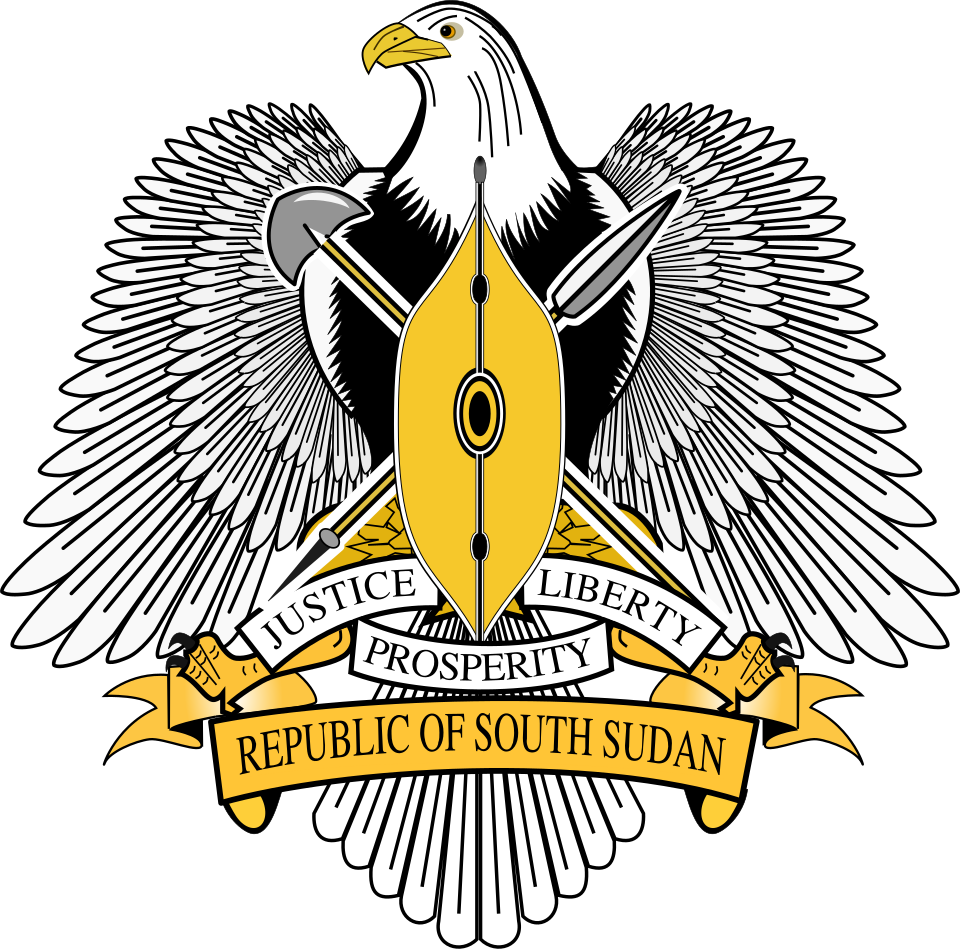 Government of South Sudan